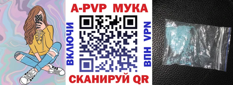 Купить закладки  Светлогорск  APVP Соль 