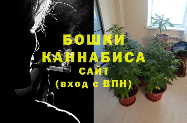 а пвп мука Инта