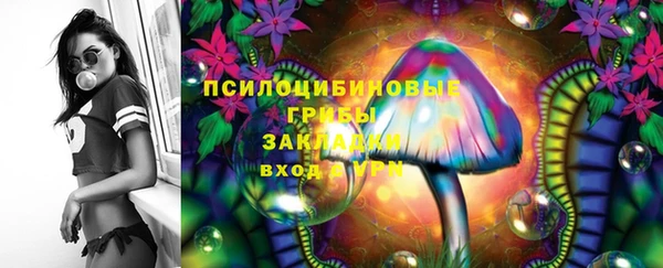 а пвп мука Инта