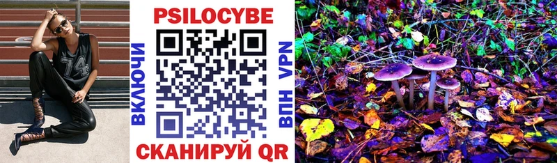 Псилоцибиновые грибы Psilocybe Светлогорск
